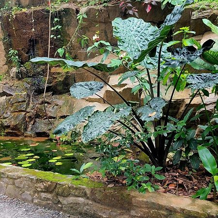 Pinnacle Of Everything Kandy Bagian luar foto